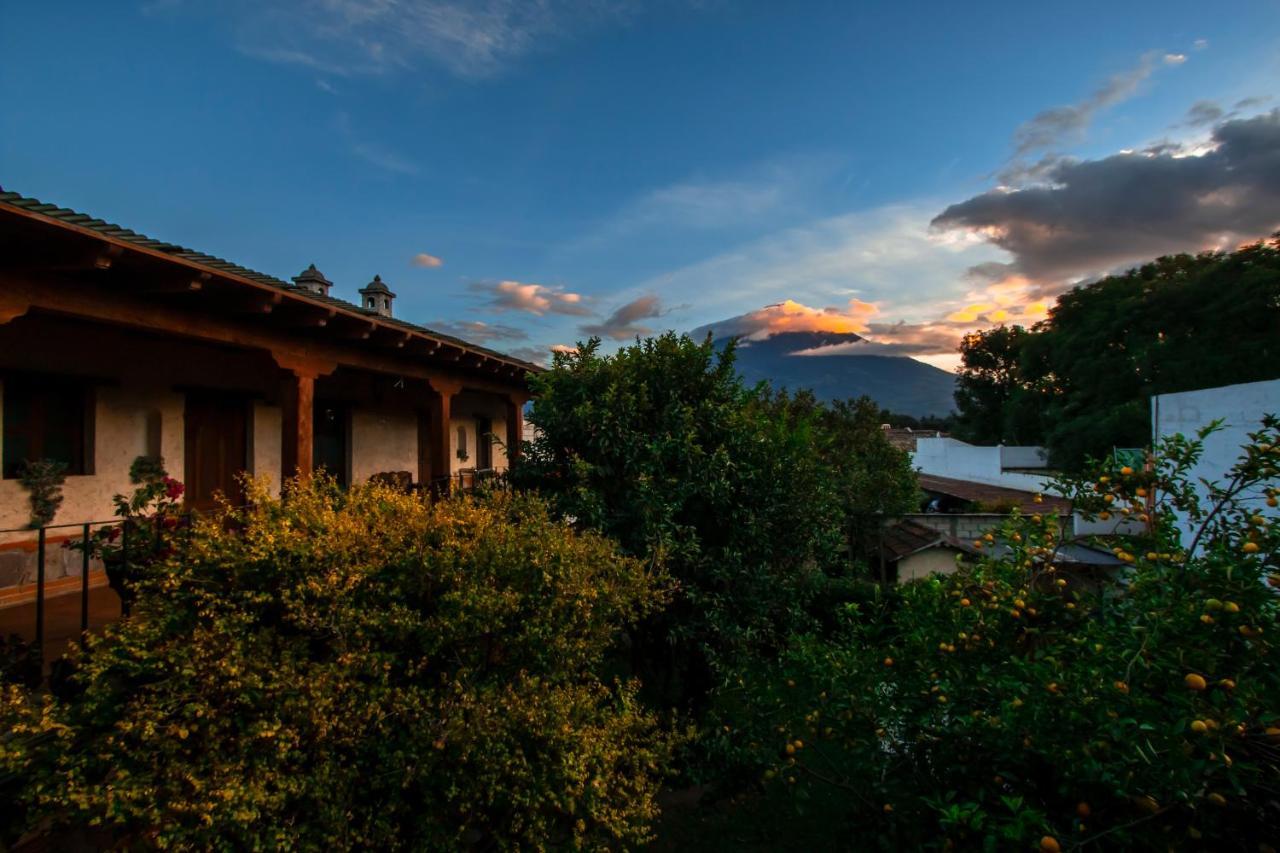 Naif Boutique Hotel Antigua Ngoại thất bức ảnh
